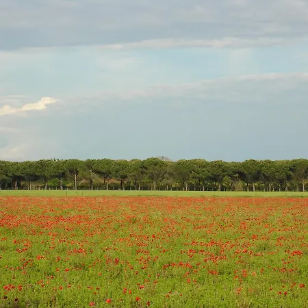 Appartamento Riviera *